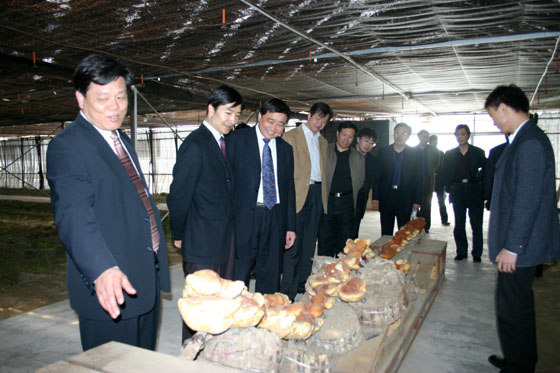 GA黄金甲